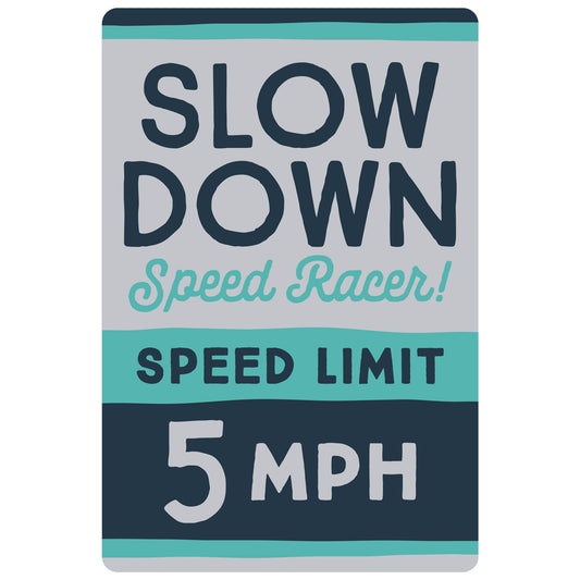 Camp Hiyo - Slow Down Speed Racer